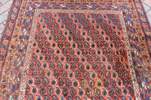 ANTIQUE NERIZ AFSHAR RUG 162X126 - ADDITIONAL PHOTO 2