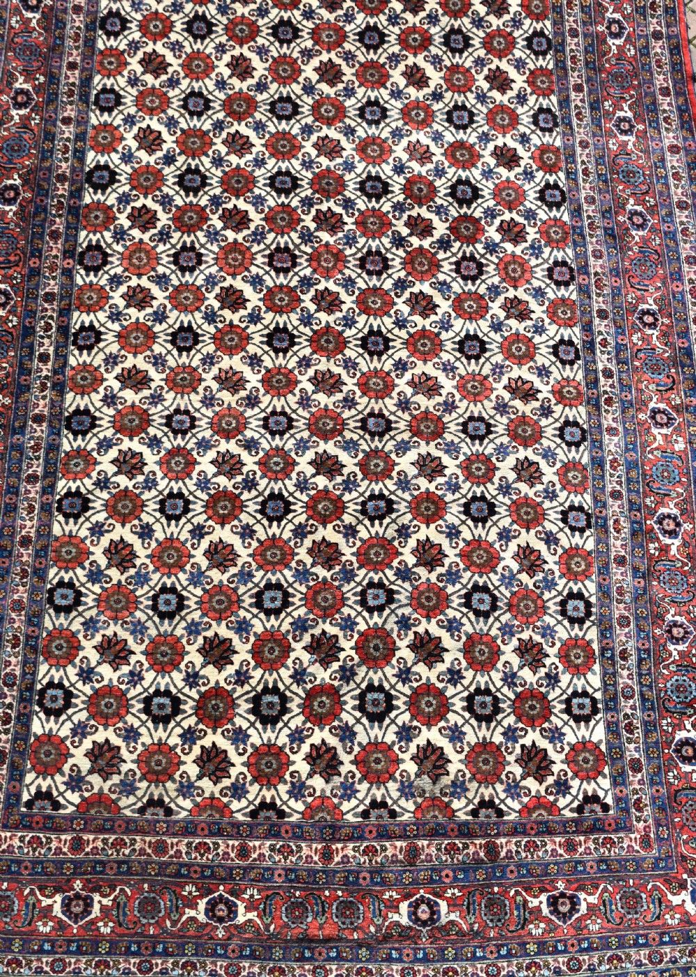 An antique Persian Veramin hand-knotted wool carpet featuring a repeating floral trellis pattern on an ivory field surrounded by multi-band borders. View II