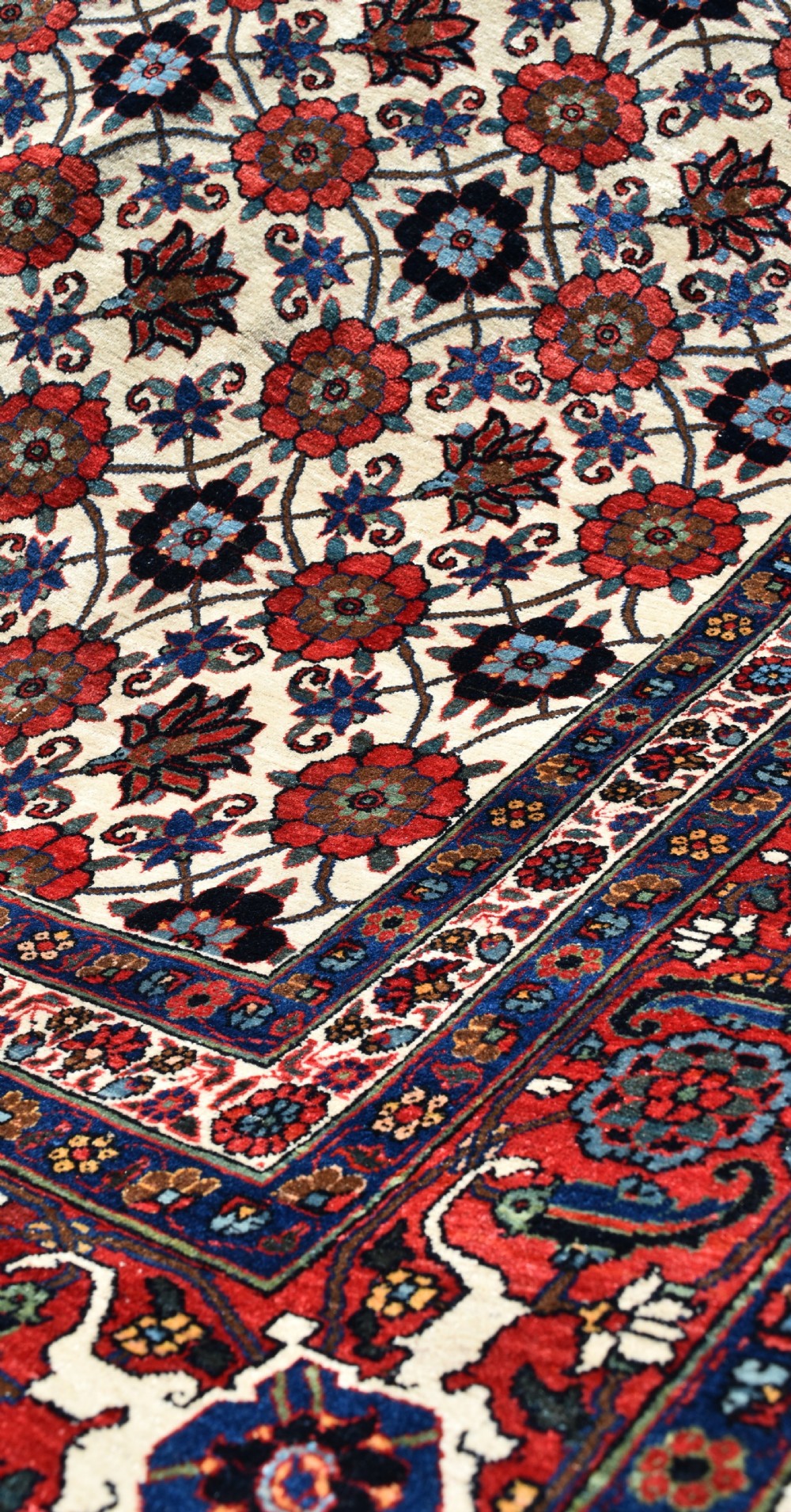An antique Persian Veramin hand-knotted wool carpet featuring a repeating floral trellis pattern on an ivory field surrounded by multi-band borders. View VI