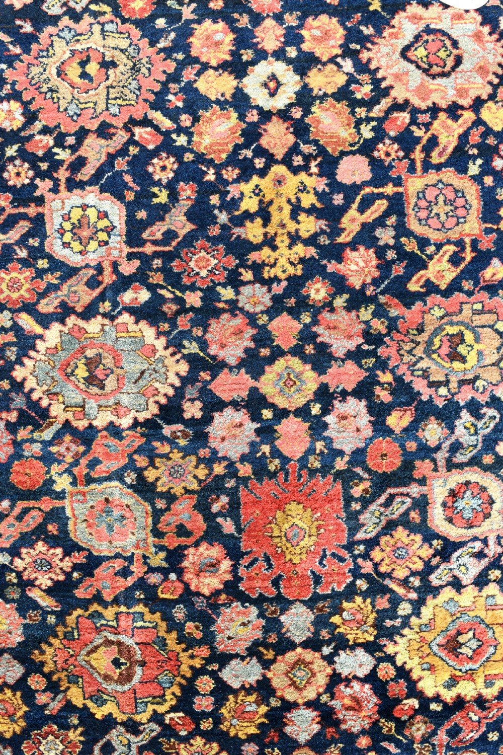 Antique roomsize Garrus Bijar carpet 231x328cm View V