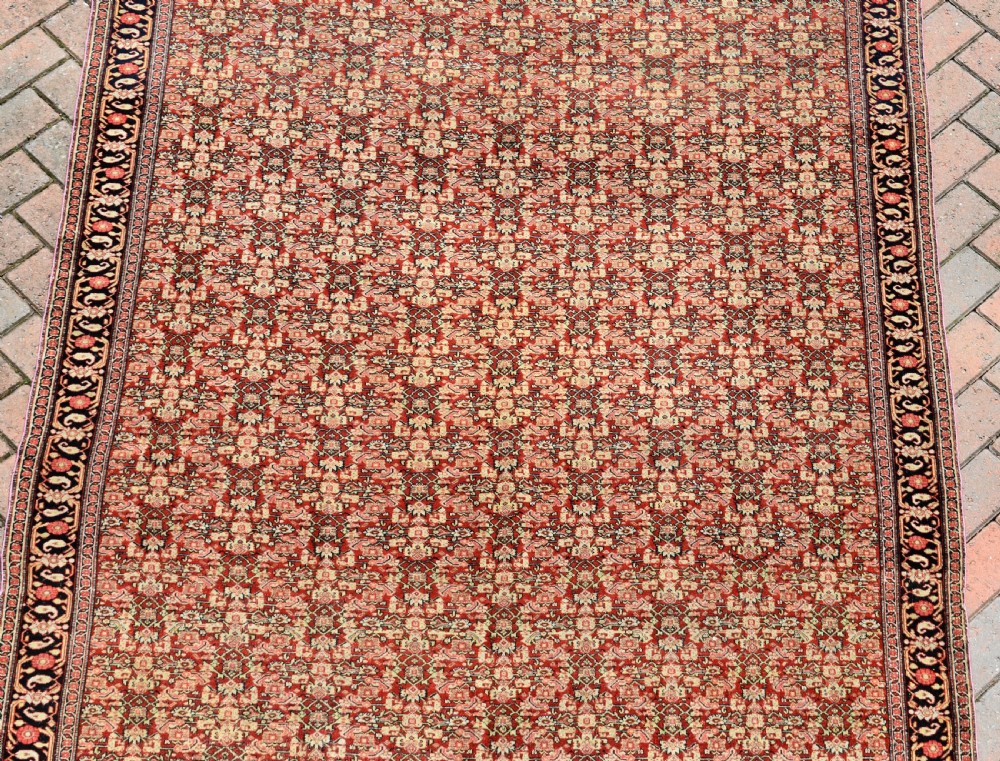 Exceptionally fine antique Senneh carpet 283x158cm  View III