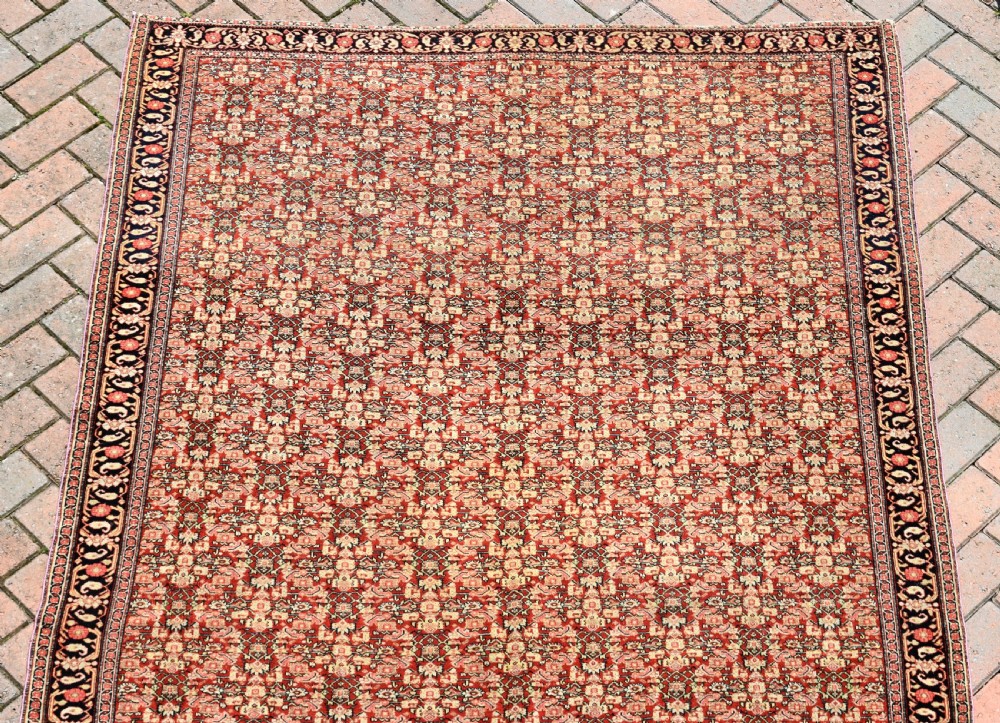 Exceptionally fine antique Senneh carpet 283x158cm  View IV