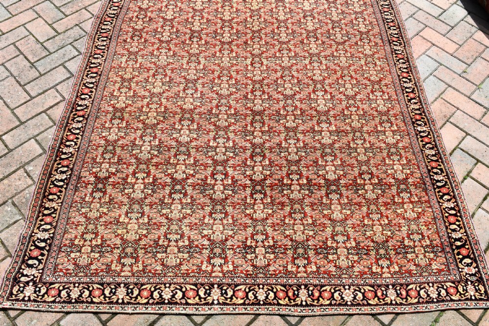 Exceptionally fine antique Senneh carpet 283x158cm  View V