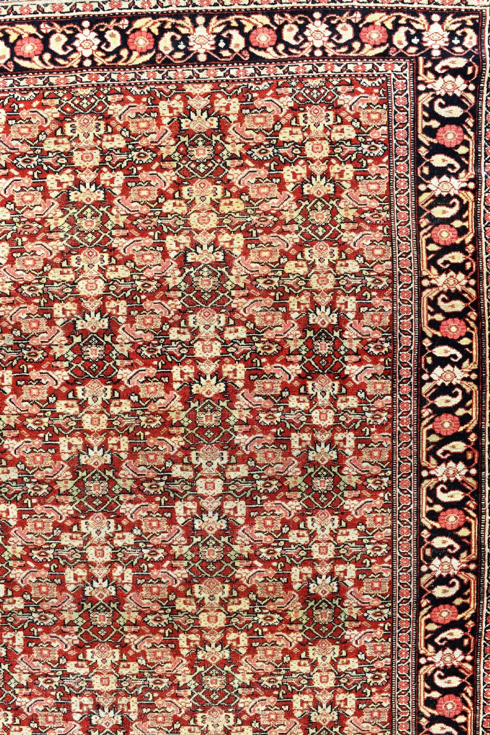 Exceptionally fine antique Senneh carpet 283x158cm  View VI