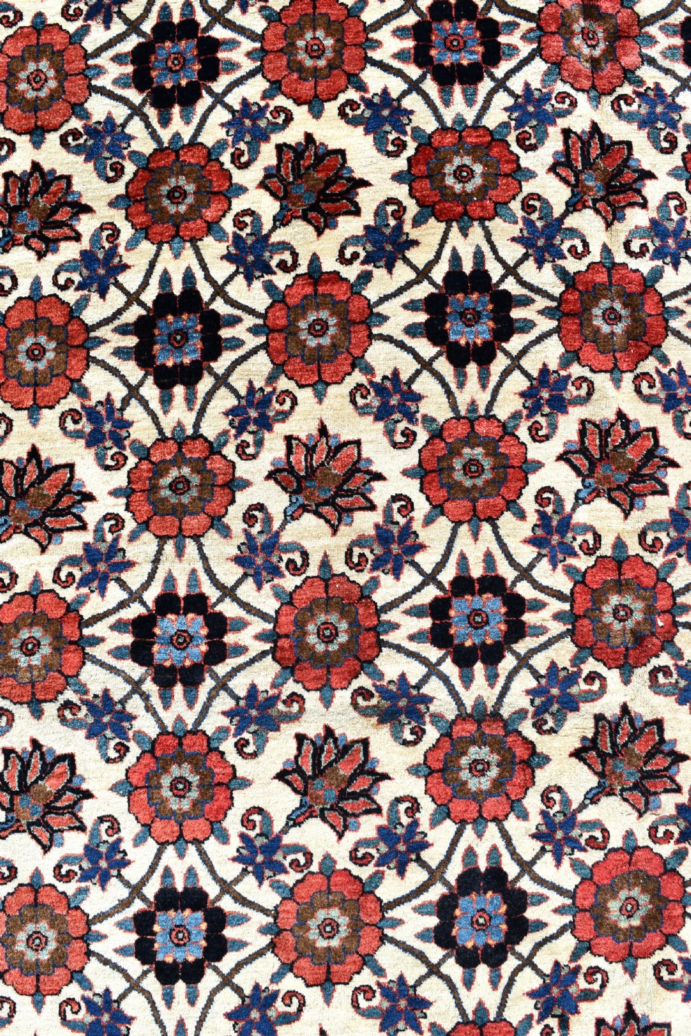 Fine antique Veramin carpet 358x208cm View II