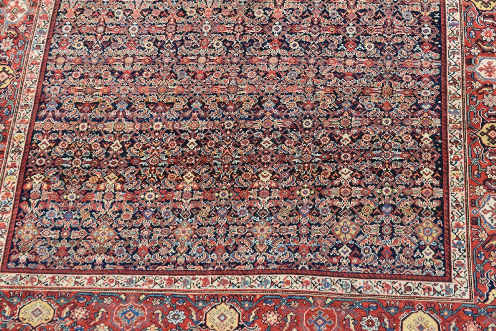 Antique Ferahan carpet 308x274cm View VI