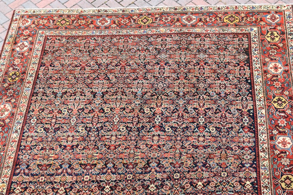 Antique Ferahan carpet 308x274cm View VII