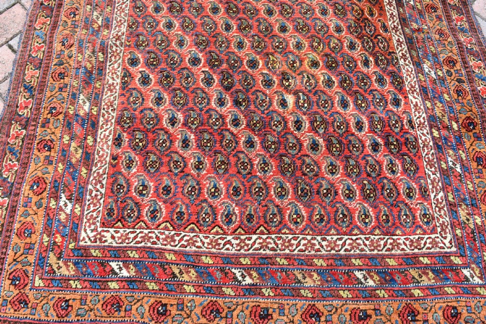 Antique Neriz Afshar rug 162x126 View II