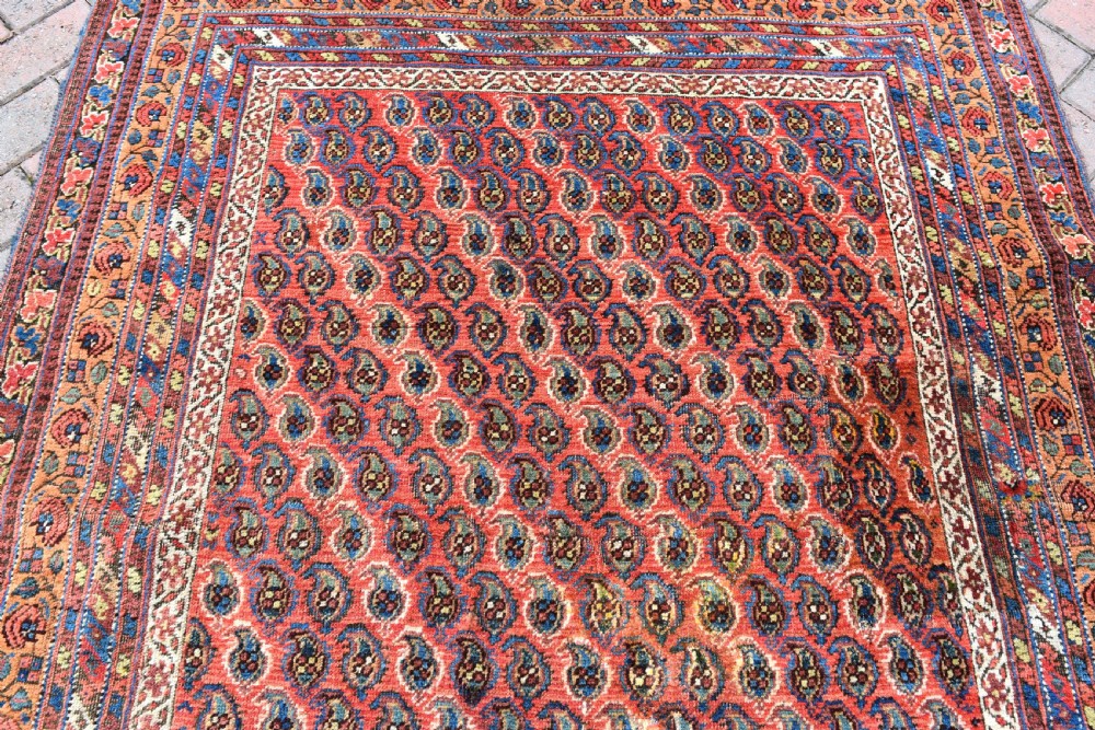 Antique Neriz Afshar rug 162x126 View III