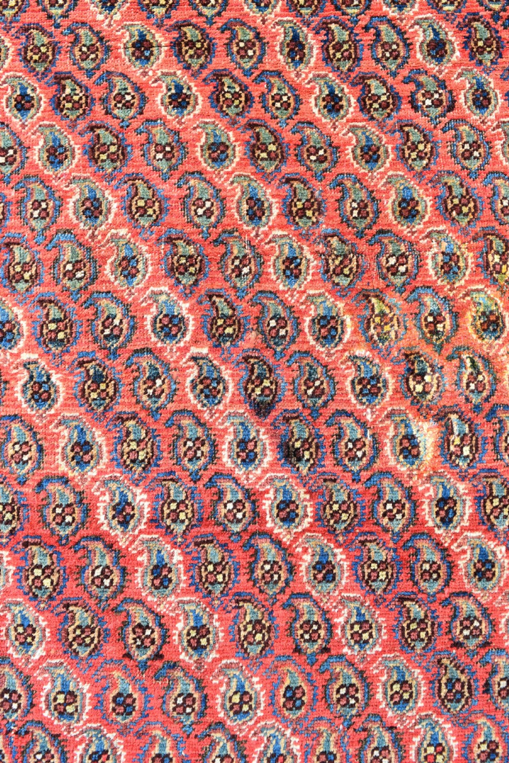 Antique Neriz Afshar rug 162x126 View IV