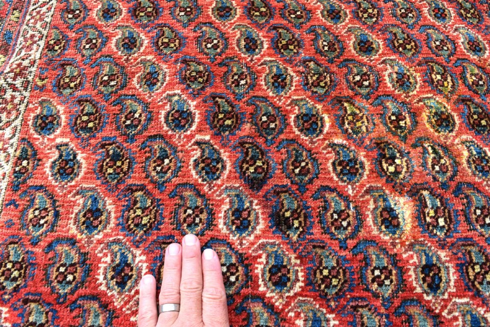 Antique Neriz Afshar rug 162x126 View V