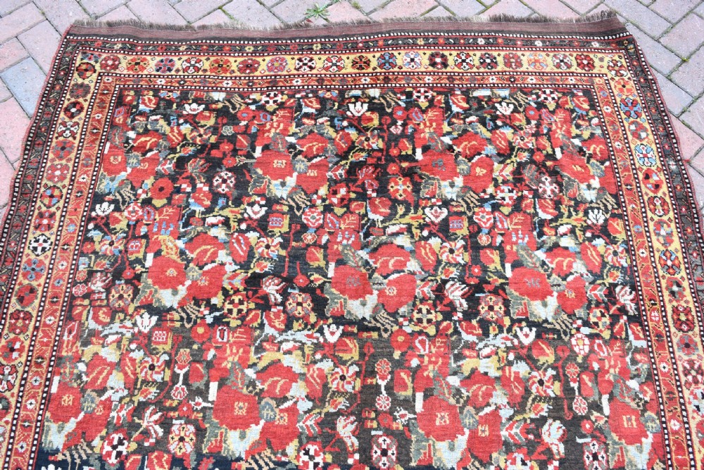 Fine antique Khamseh carpet 288x166cm View VIII