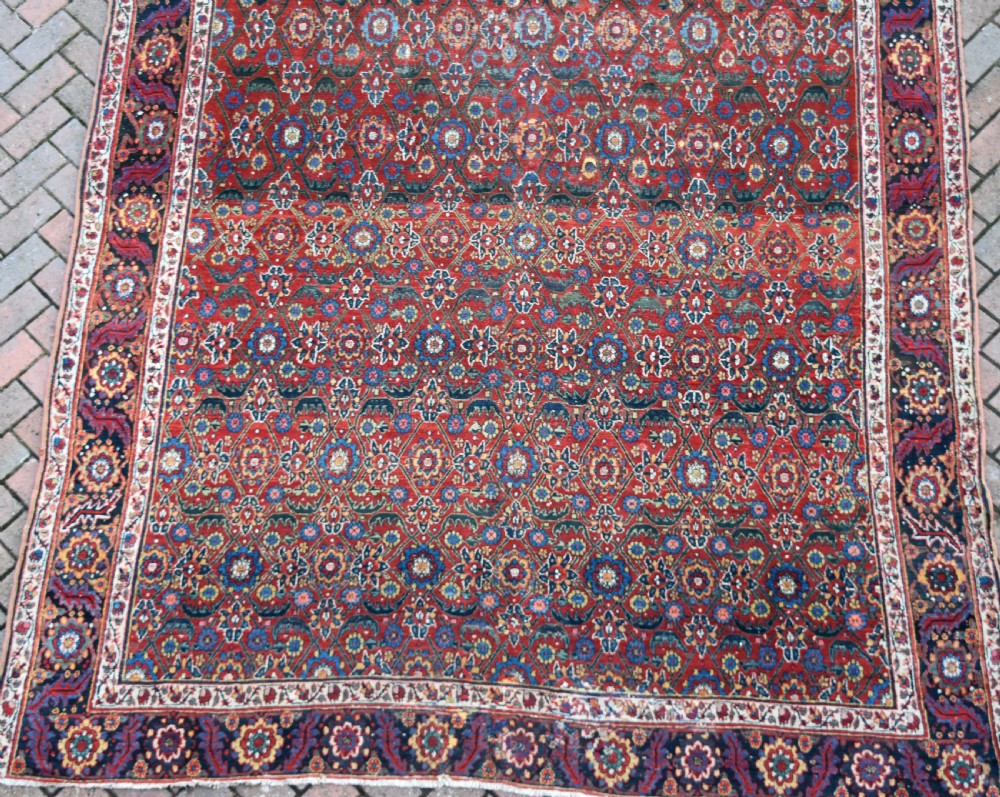 Early North West Persian Kelleh carpet 613x214cm View VII