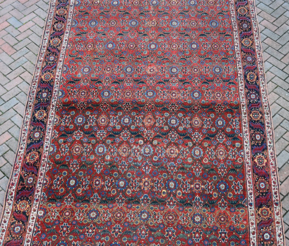 Early North West Persian Kelleh carpet 613x214cm View VIII