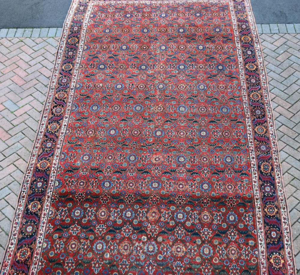 Early North West Persian Kelleh carpet 613x214cm View IX