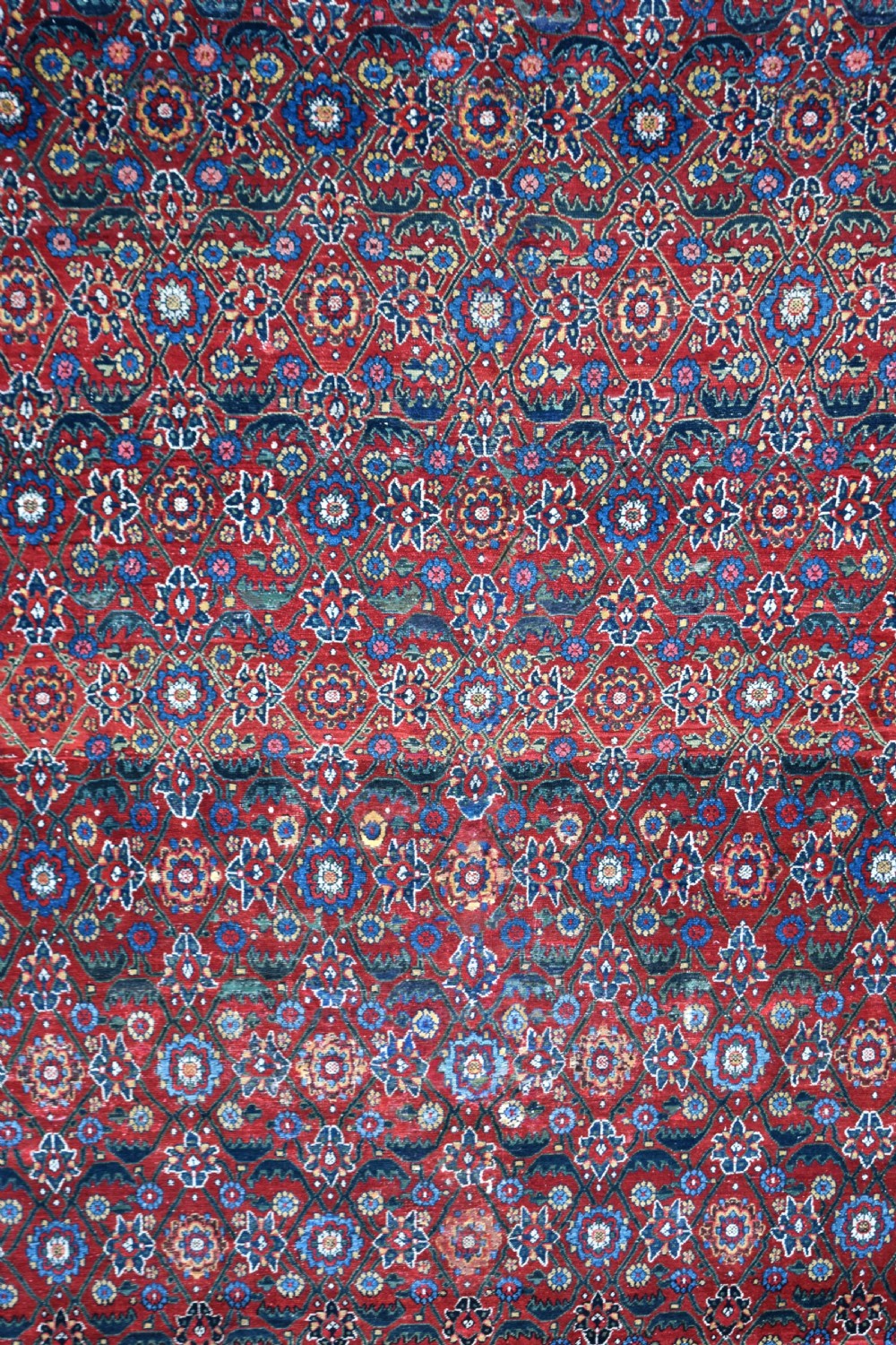 Early North West Persian Kelleh carpet 613x214cm View X