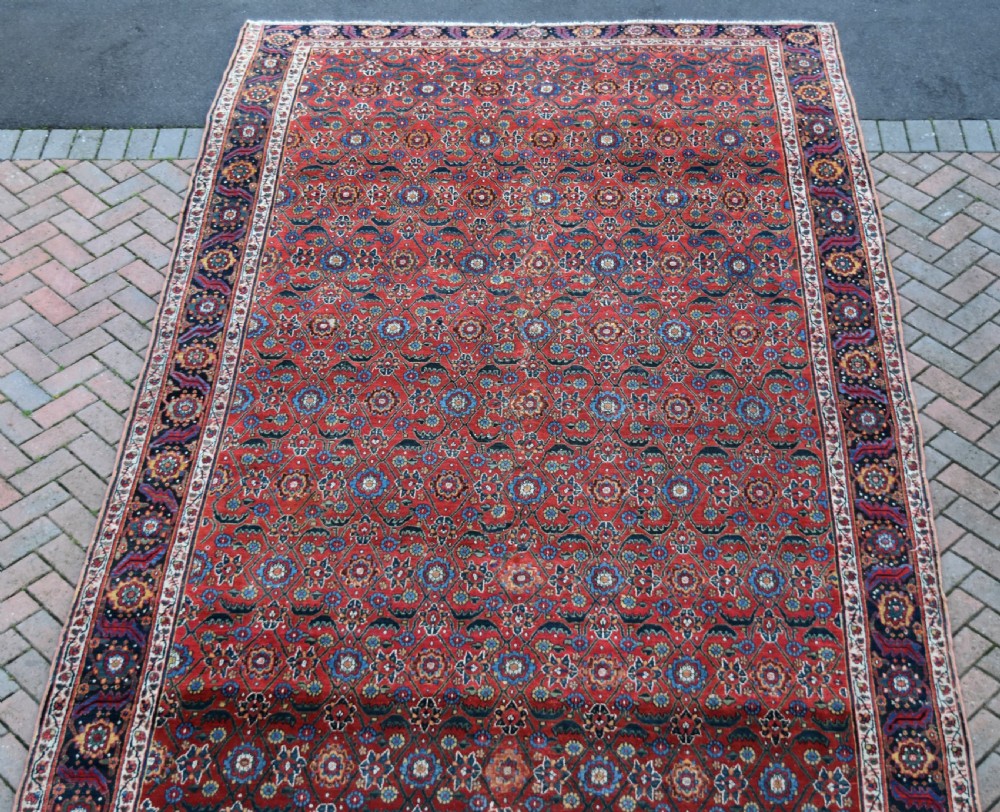 Early North West Persian Kelleh carpet 613x214cm View XI