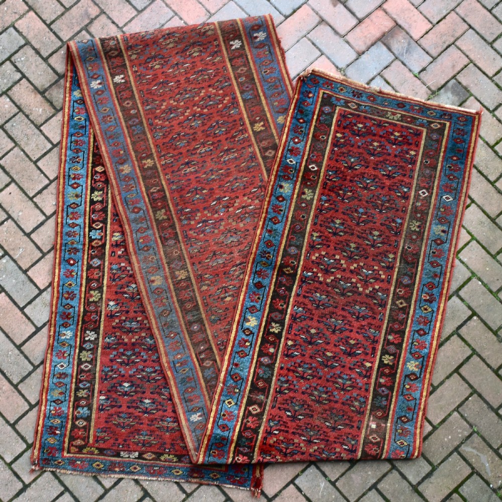 Narrow Bijar runner 486x78 cm