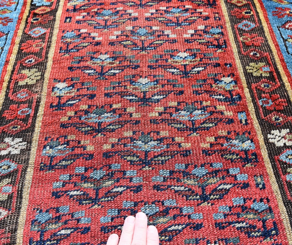 Narrow Bijar runner 486x78 cm View II