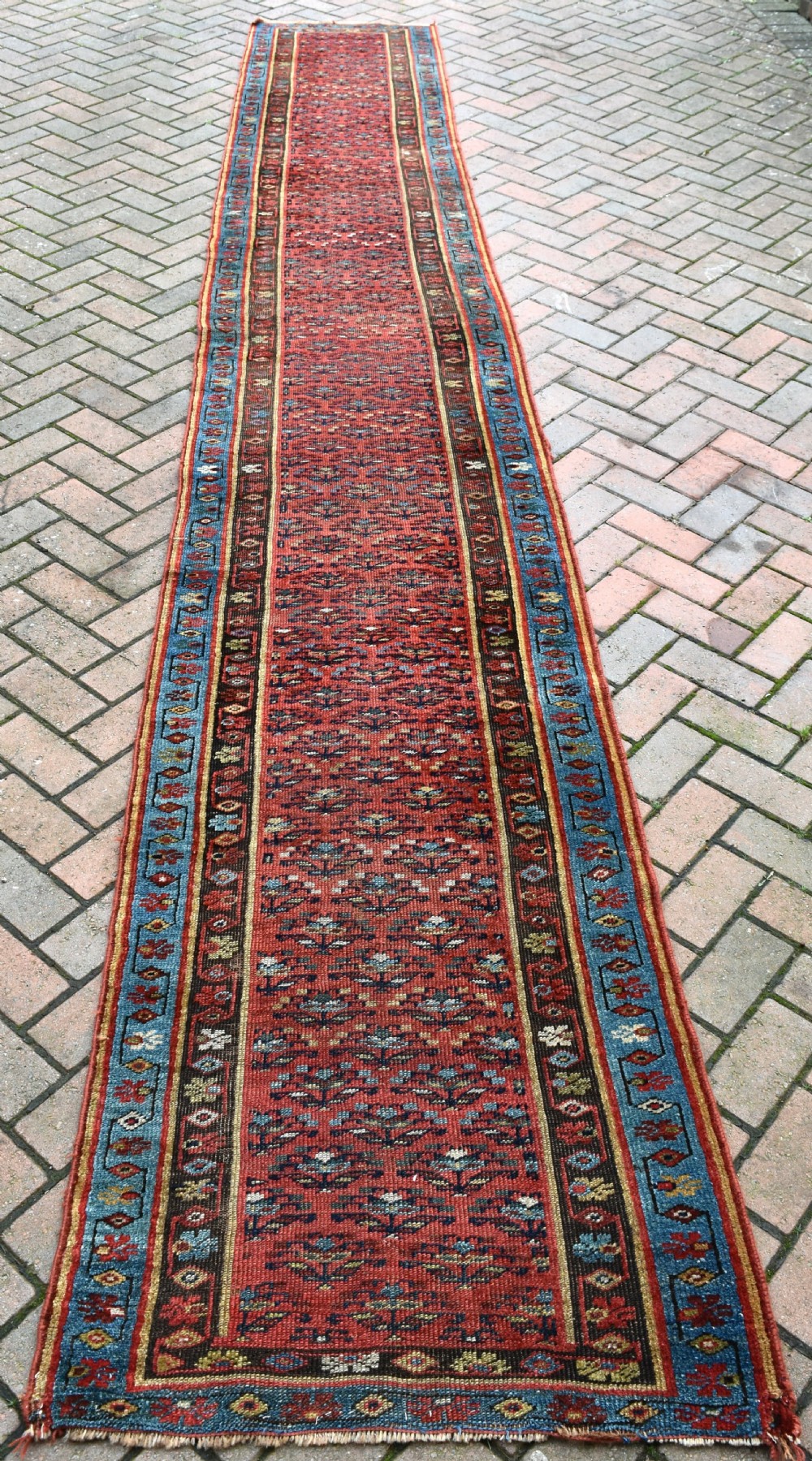 Narrow Bijar runner 486x78 cm View V