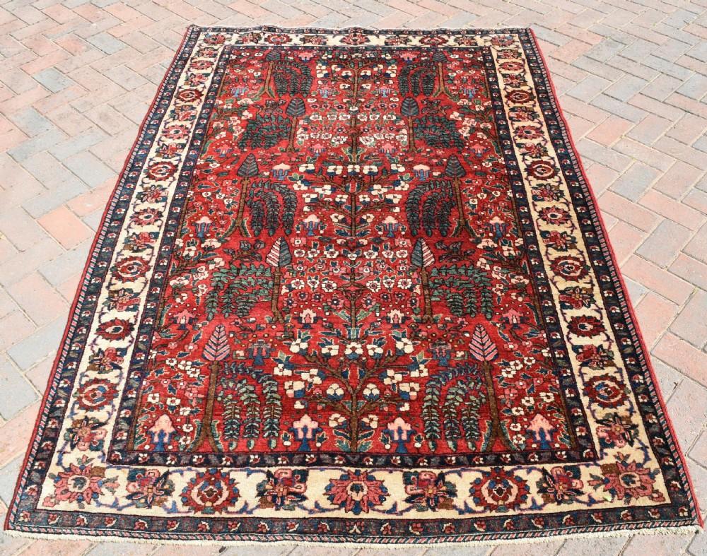 Antique Baktiari rug 220x155 View II