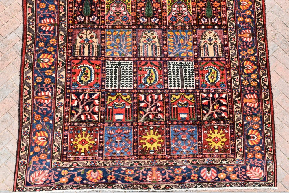 Baktiari carpet 313x218cm View II