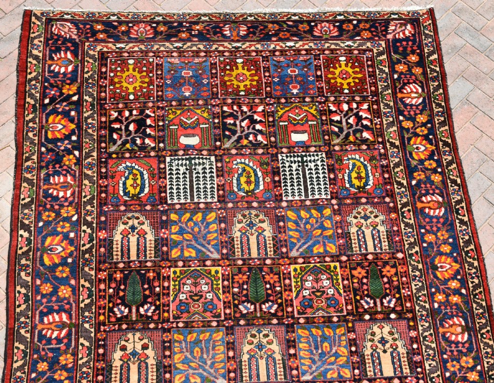 Baktiari carpet 313x218cm View III