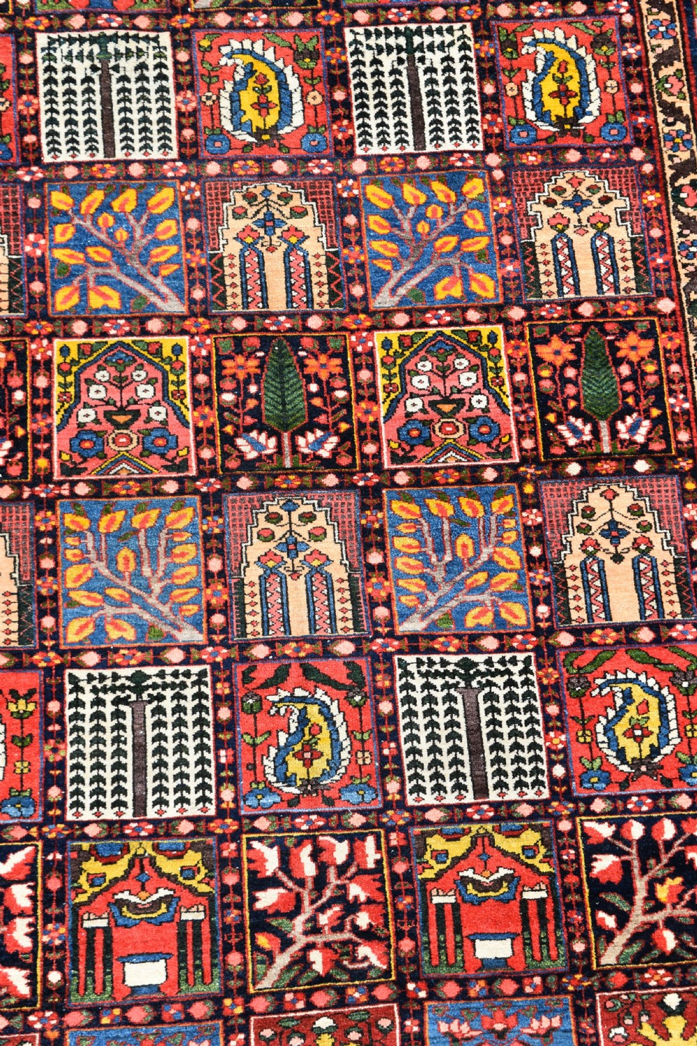 Baktiari carpet 313x218cm View IV