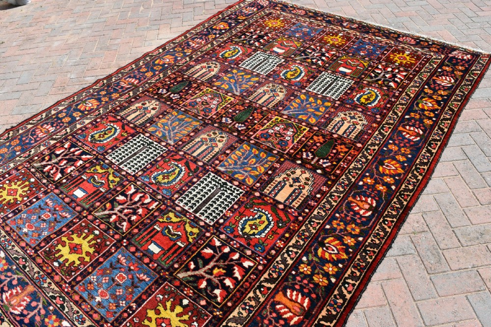 Baktiari carpet 313x218cm View V