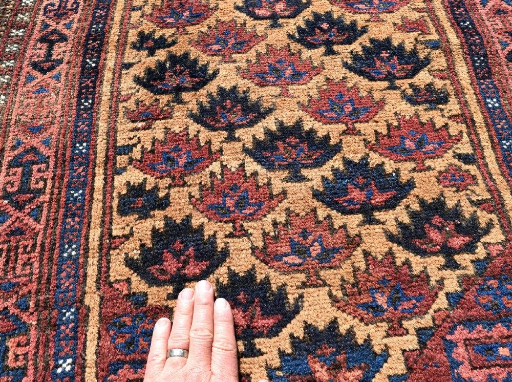 Antique Baluch rug View II