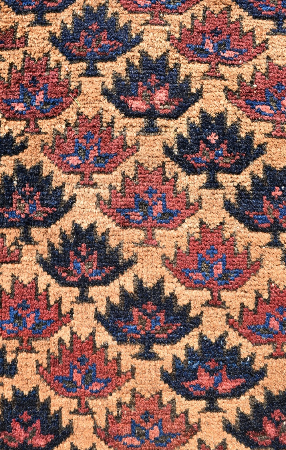 Antique Baluch rug View III