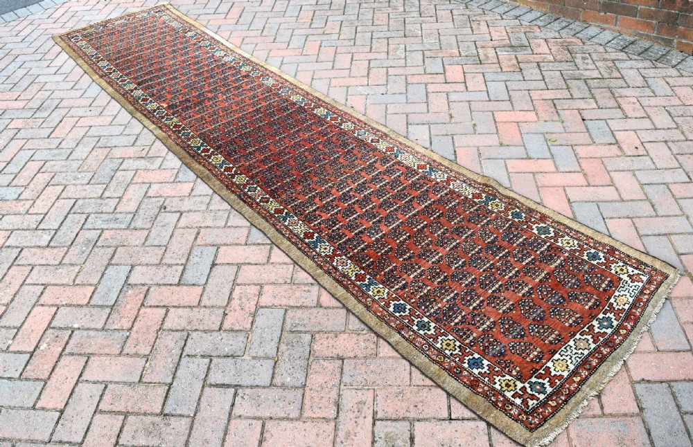 Narrow Hamadan runner View V