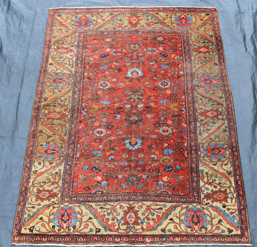 An antique Ferahan carpet 332x229 cm
