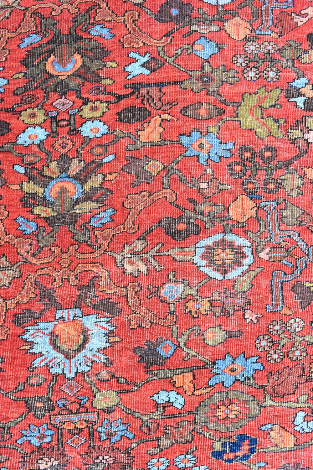 An antique Ferahan carpet 332x229 cm View II
