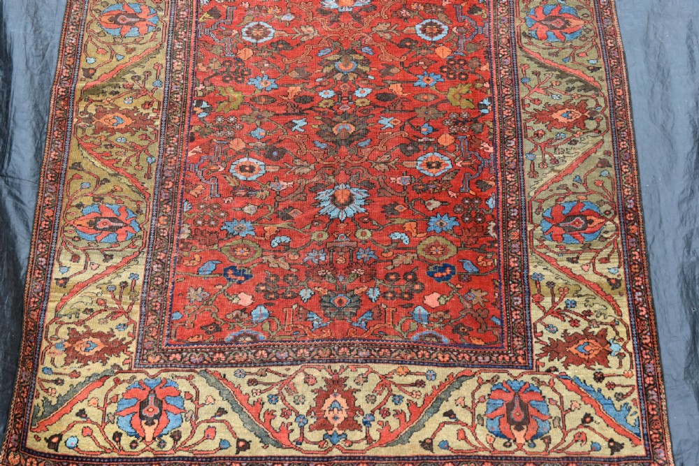 An antique Ferahan carpet 332x229 cm View VI