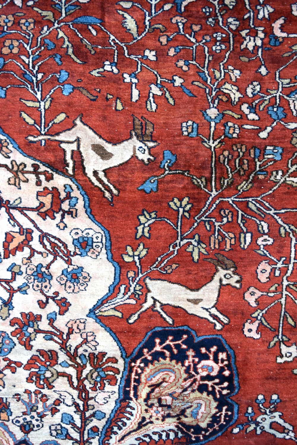 A massive antique sarouk Ferahan carpet 710x460 cm View III