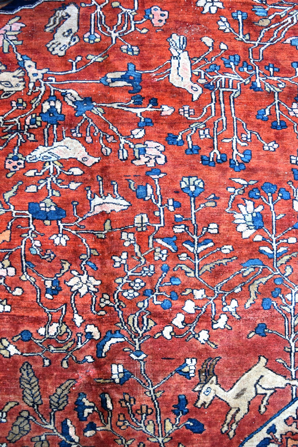A massive antique sarouk Ferahan carpet 710x460 cm View V
