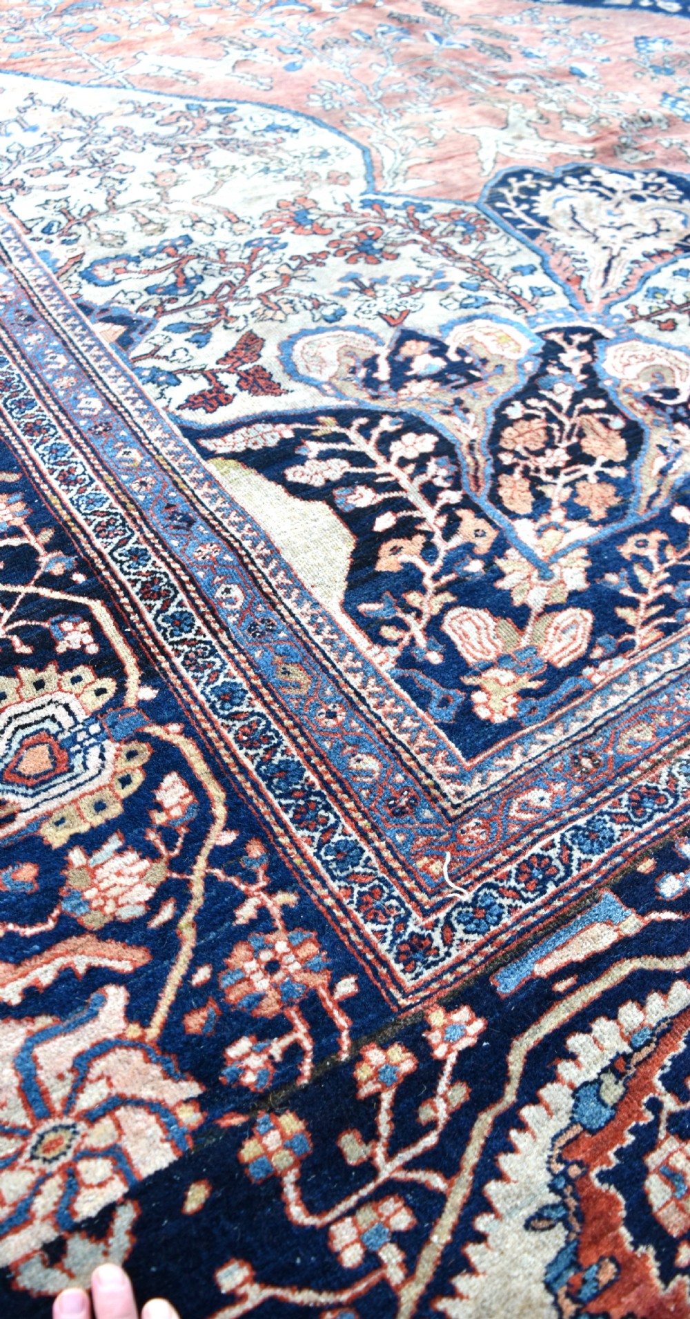 A massive antique sarouk Ferahan carpet 710x460 cm View VI