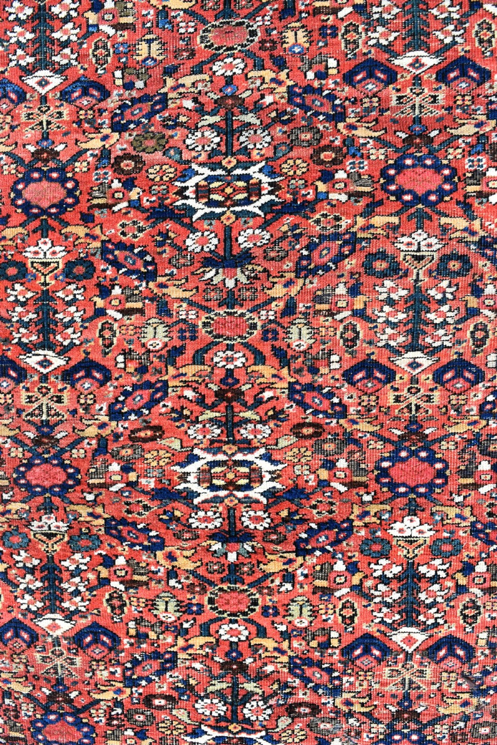 Fine antique Ferahan carpet 281x271cm View III