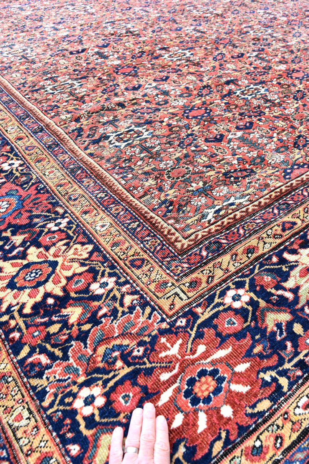 Fine antique Ferahan carpet 281x271cm View IV