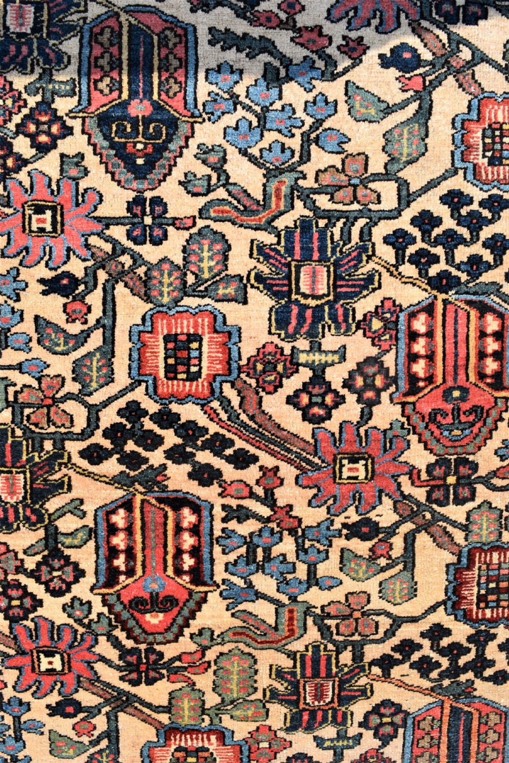 Antique Baktiari rug Circa 1920 200x140cm View VII