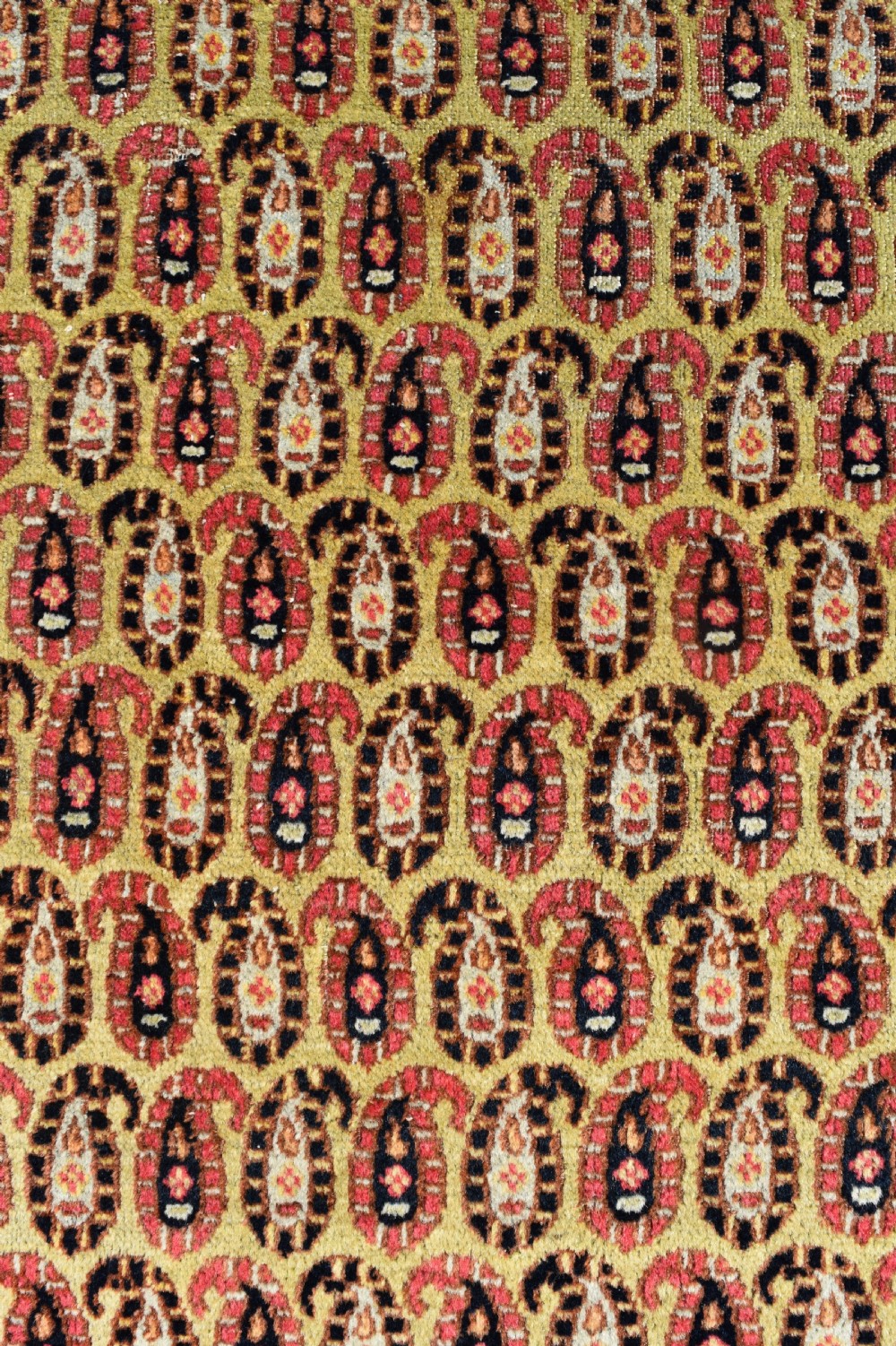 A rare yellow ground Khorrasan rug 190x129cm View IV