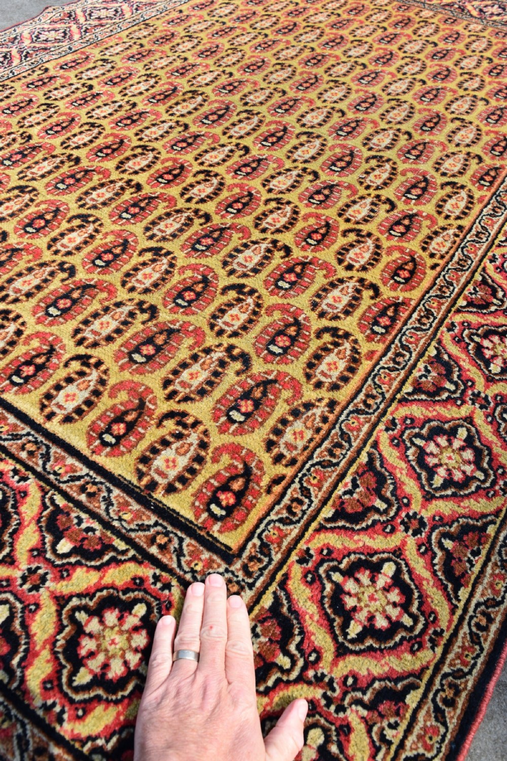 A rare yellow ground Khorrasan rug 190x129cm View V