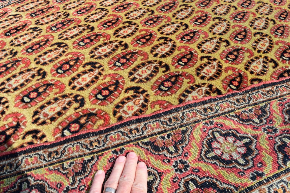 A rare yellow ground Khorrasan rug 190x129cm View VI
