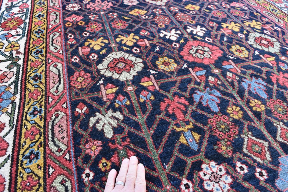 Antique Malyor Kelleh Persian carpet 342x160cm View III