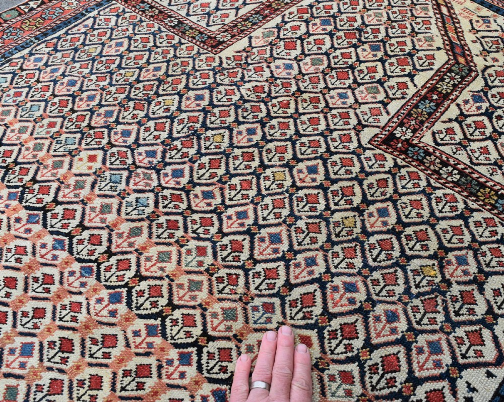 An antique Shirvan Prayer rug 140x115cm View III