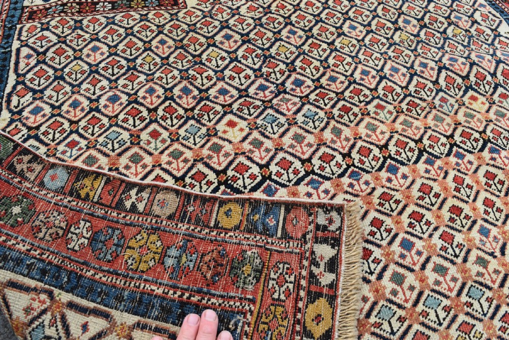 An antique Shirvan Prayer rug 140x115cm View V