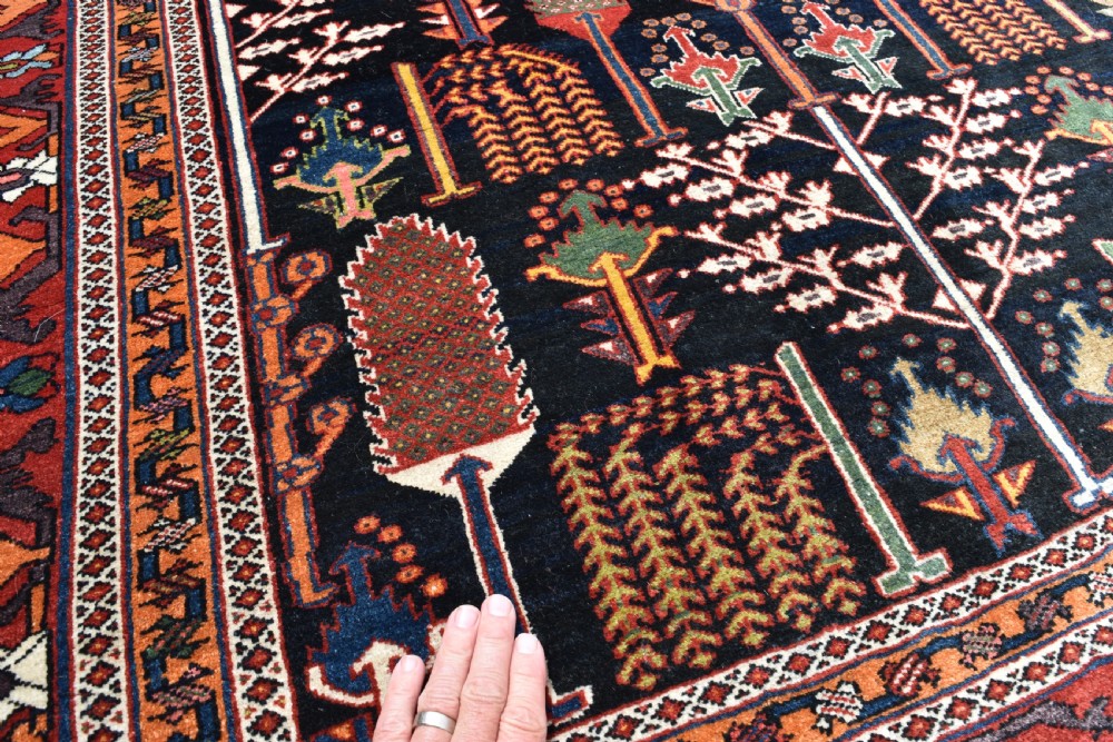 Fine Antique Bahktiari rug 208x153cm View IV