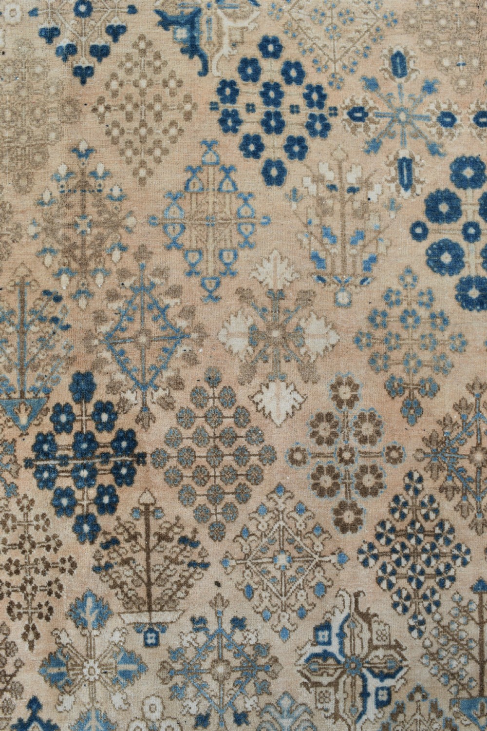 An Old Persian Joshaghan roomsize carpet 318x217cm View IV
