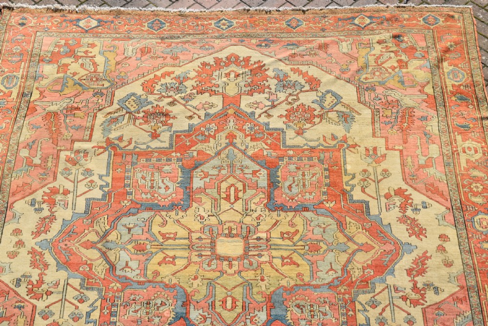 An exceptional antique Serapi carpet 345x290cm View VII